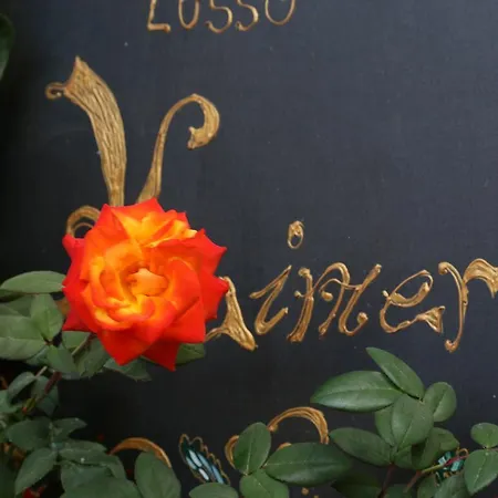 Kimera 皮亚扎-阿尔梅里纳