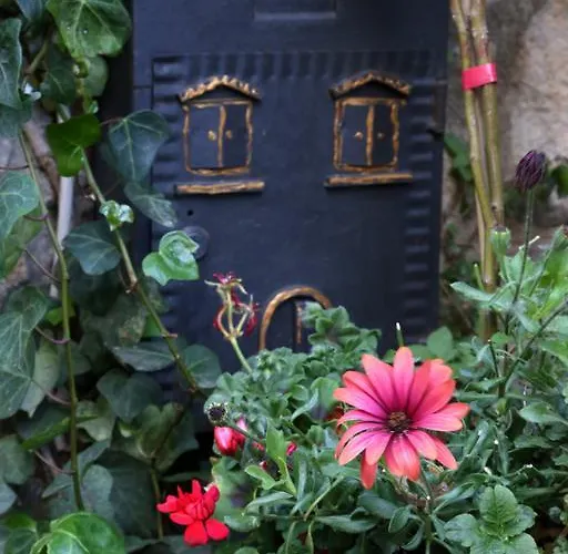 Kimera Bed and breakfast