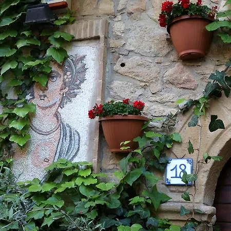 Bed and breakfast Kimera